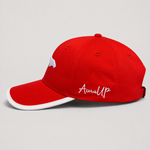 AURAUP PANEL CAP