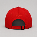 AURAUP PANEL CAP