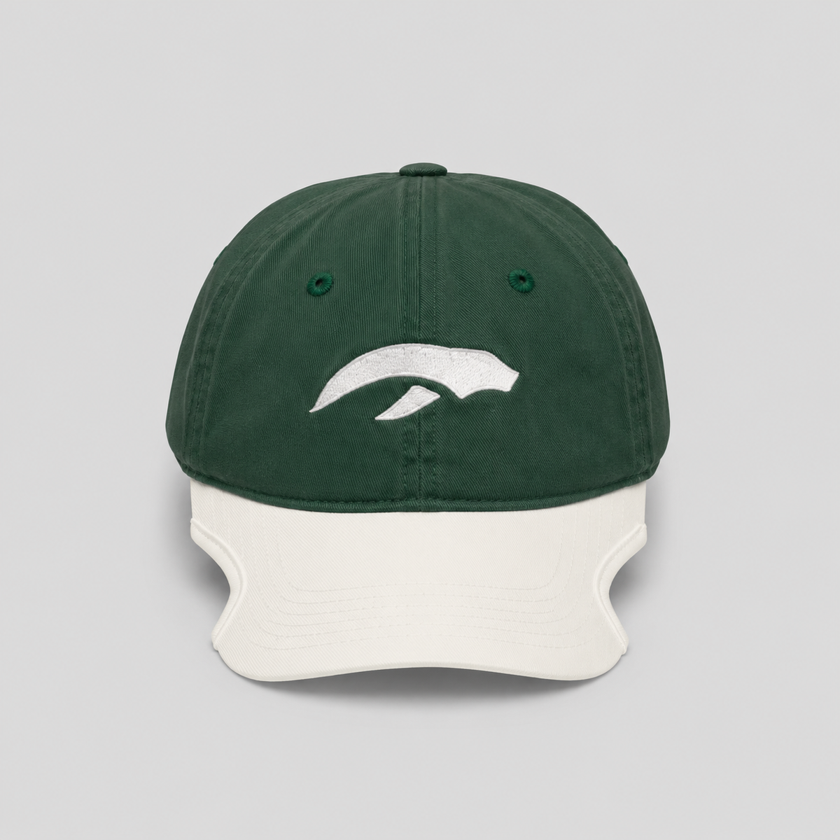 AURAUP PANEL CAP
