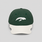 AURAUP PANEL CAP