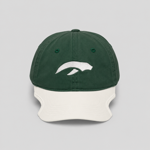 AURAUP PANEL CAP