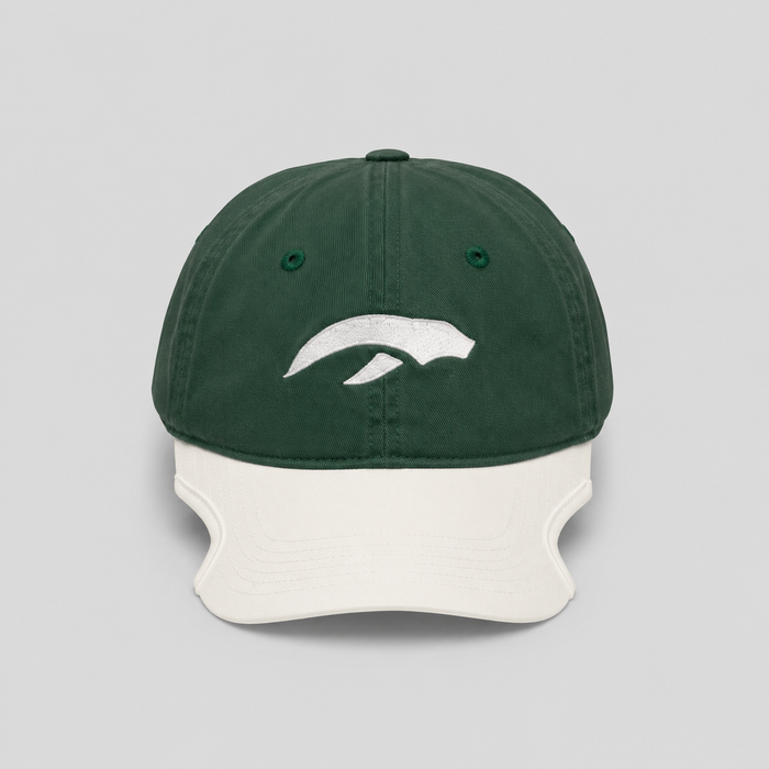 AURAUP PANEL CAP