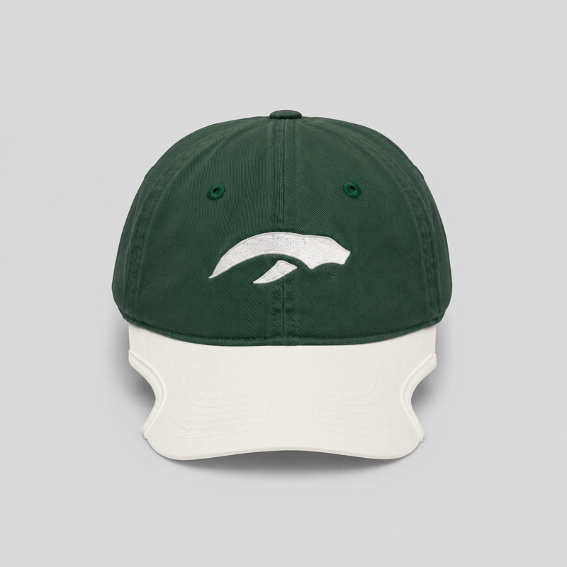AURAUP PANEL CAP