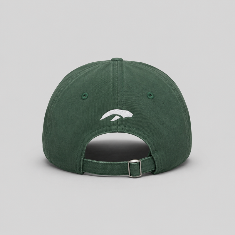 AURAUP PANEL CAP