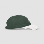 AURAUP PANEL CAP