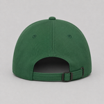 AURAUP PANEL CAP