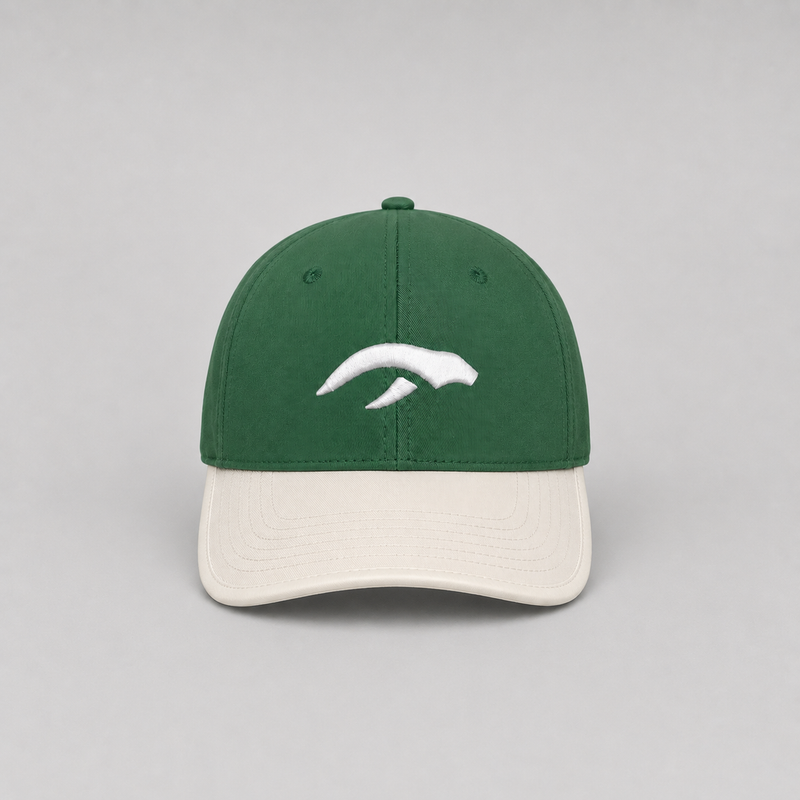 AURAUP PANEL CAP