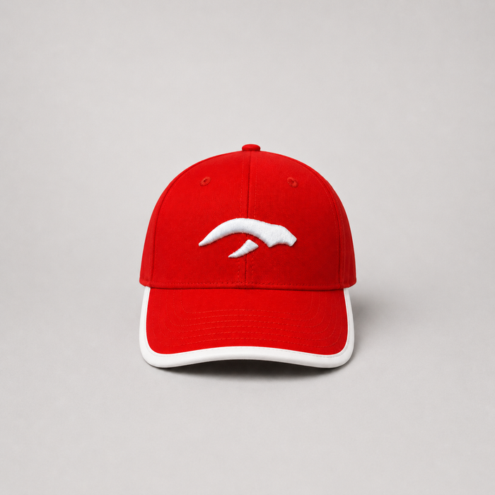 AURAUP PANEL CAP